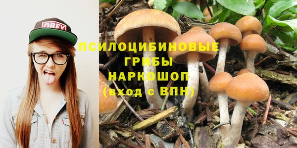 mdpv Нягань