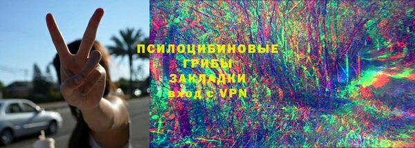 ПСИЛОЦИБИНОВЫЕ ГРИБЫ Нязепетровск