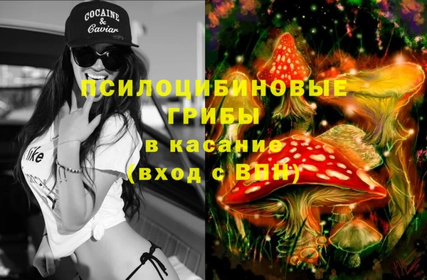 mdpv Нягань
