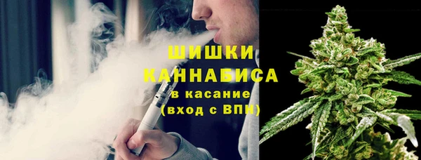 ПСИЛОЦИБИНОВЫЕ ГРИБЫ Нязепетровск