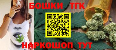 индика Аргун