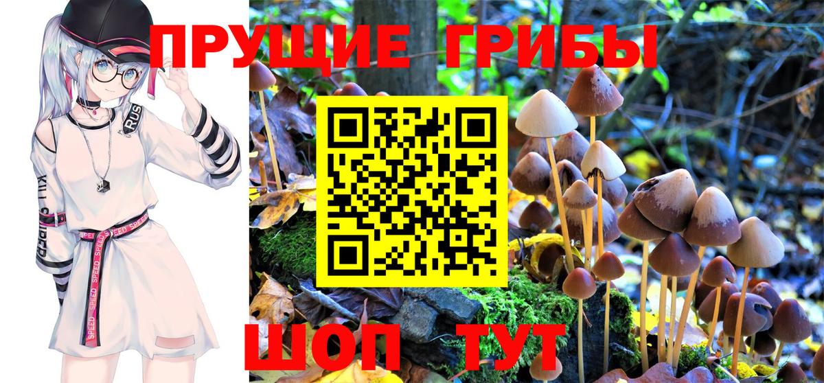 Галлюциногенные грибы Psilocybe  Ульяновск  Псилоцибиновые грибы Cubensis 