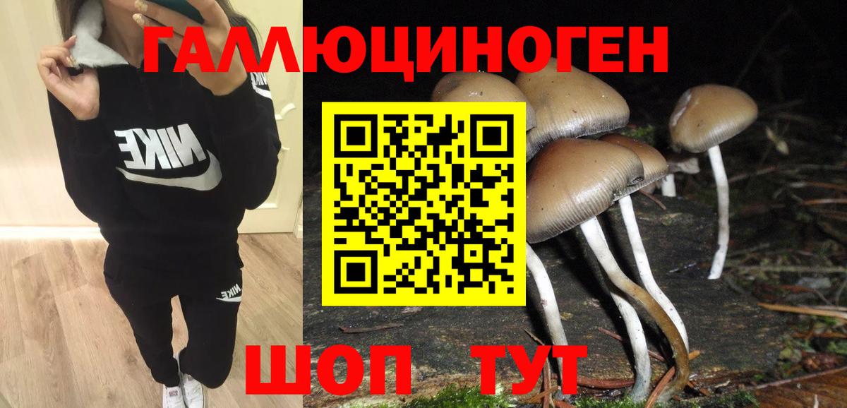 Псилоцибиновые грибы Psilocybe Ульяновск