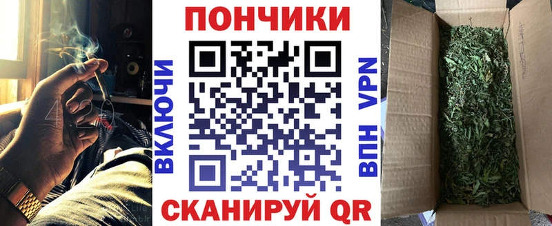 Бошки Шишки ГИДРОПОН  Ульяновск 